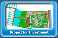Project investor